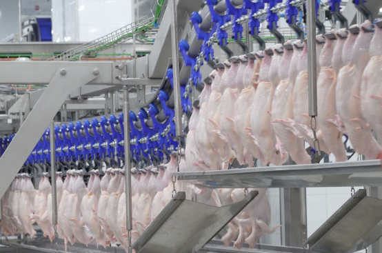 品牌：春雪食品如何让中国鸡肉端上世界餐桌？不朽情缘平台登录入口从“出口标准”到全球(图2)